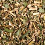 Topinamburkraut 