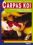 Carpas koi 