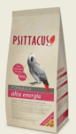 Psittacus alta energia 