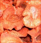 AMORA Karottenchips 