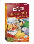 Mexican Spicy Noodle Mix 