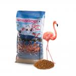 Wisbroek Floating Flamencos/Ibis 